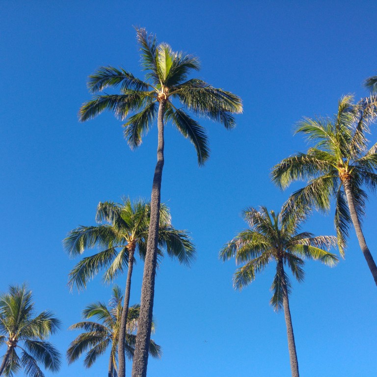 img_20170209_090902_742