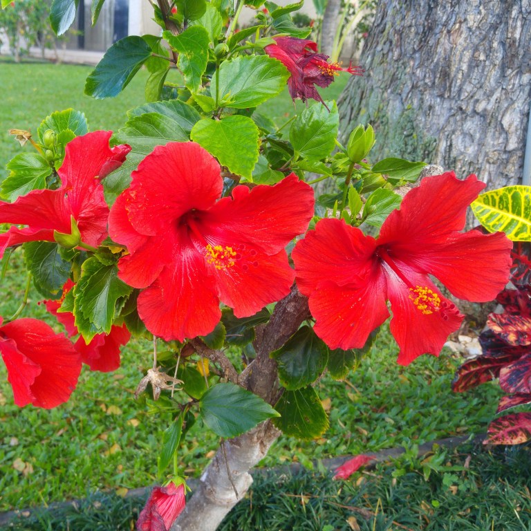 img_20170217_141950_254