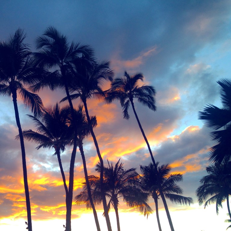 img_20170218_110930_589