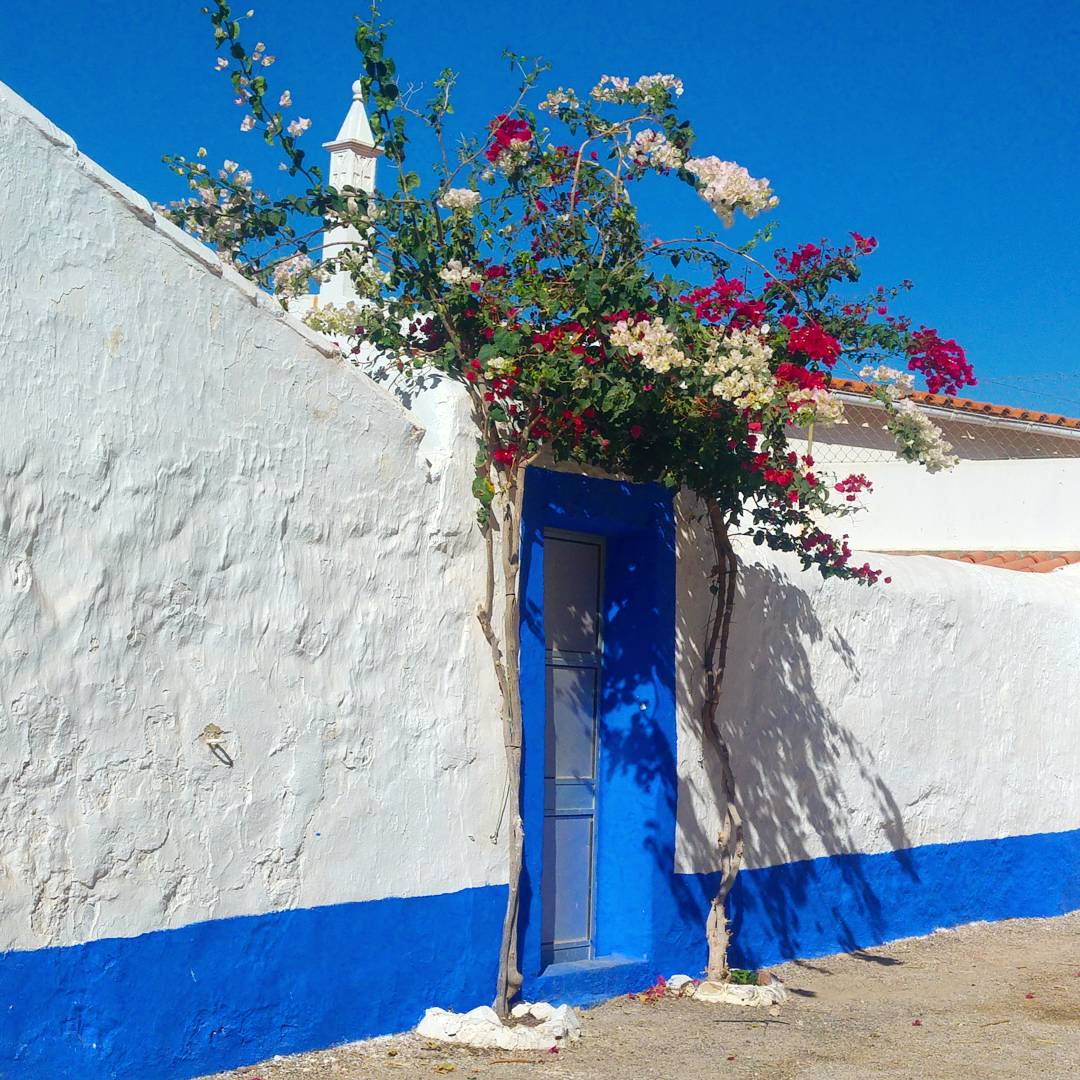 IMG_20171006_201907_326