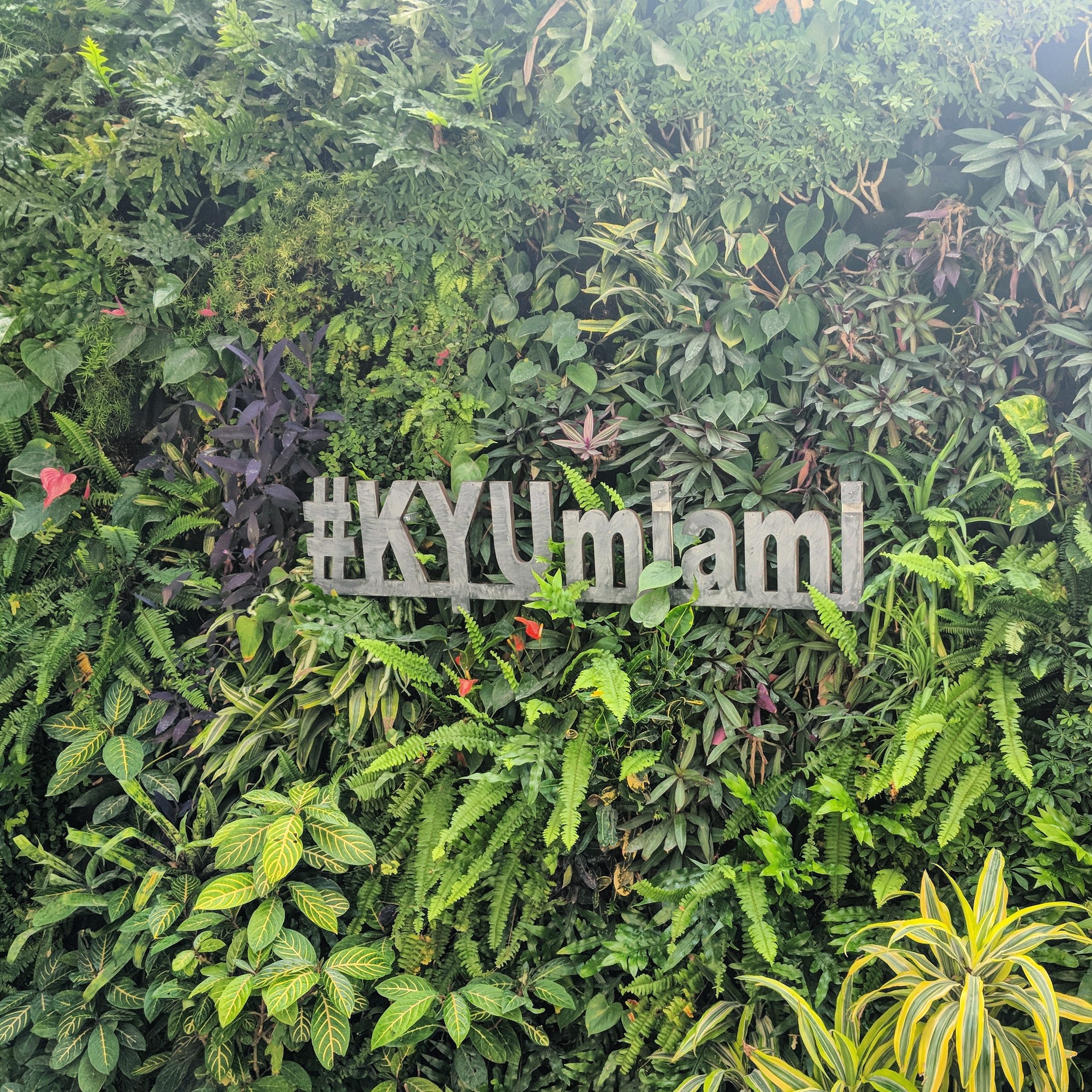 IMG_20180429_183316_616