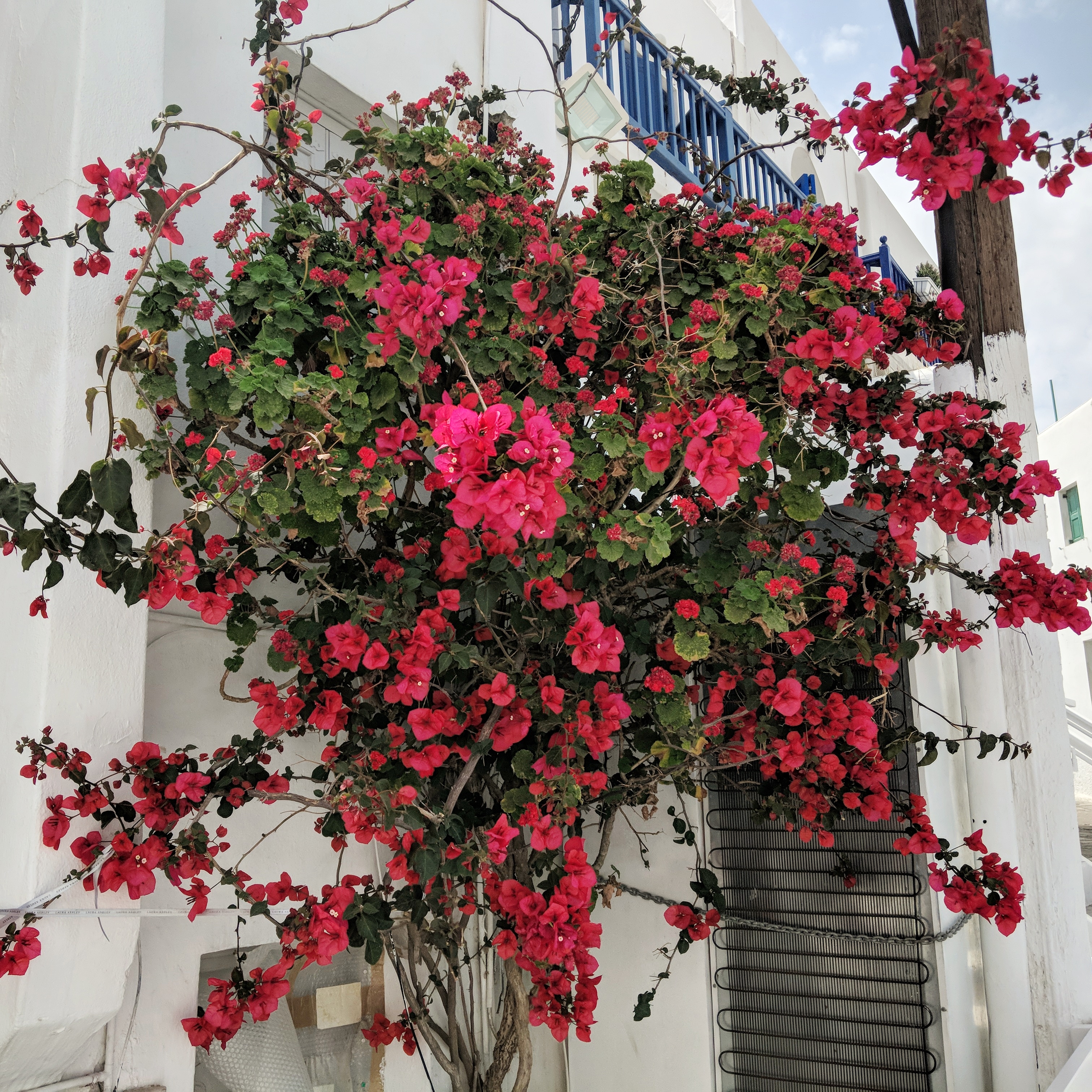 IMG_20180507_100227_444