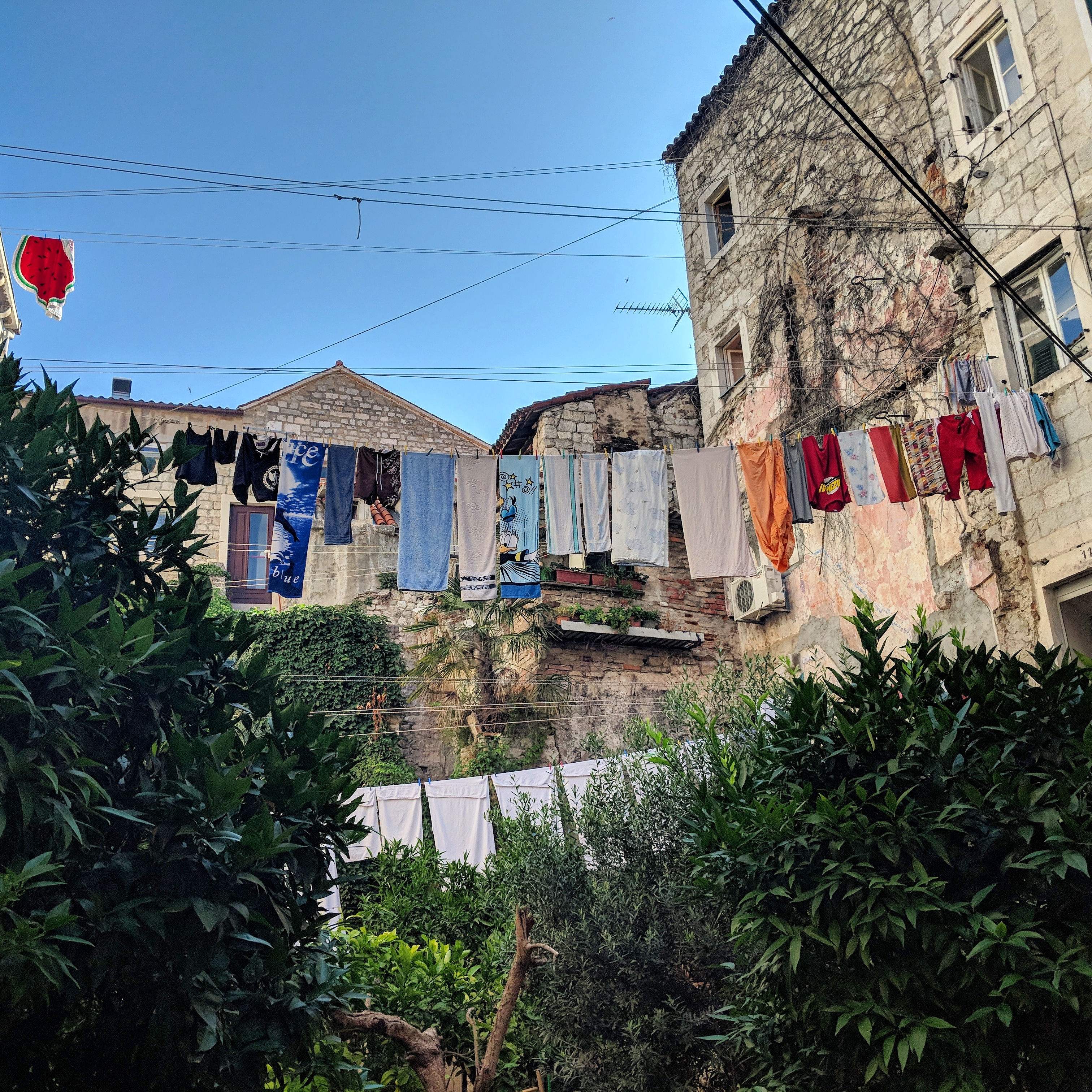 IMG_20180724_165801_564