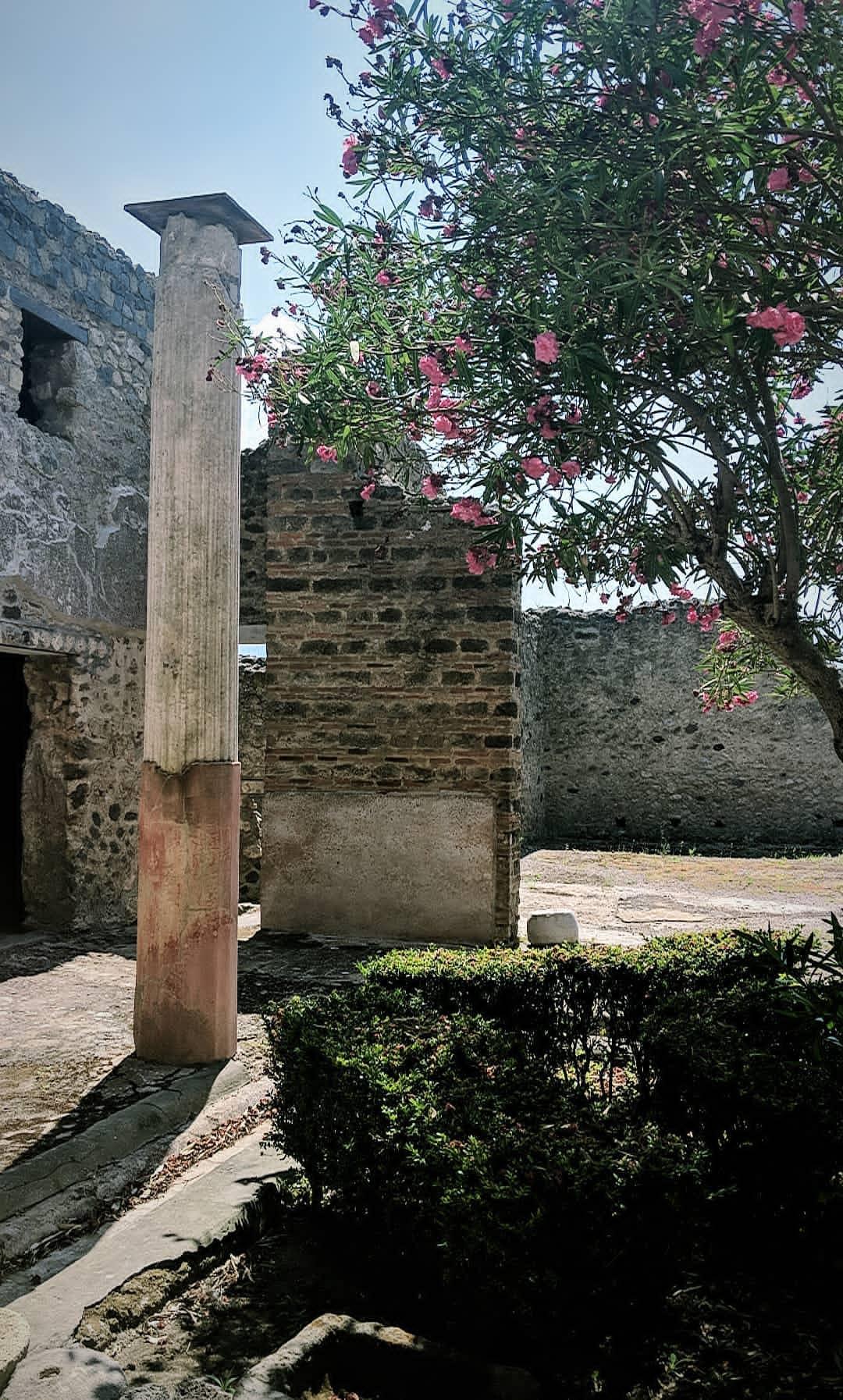 IMG_20180726_071330_436