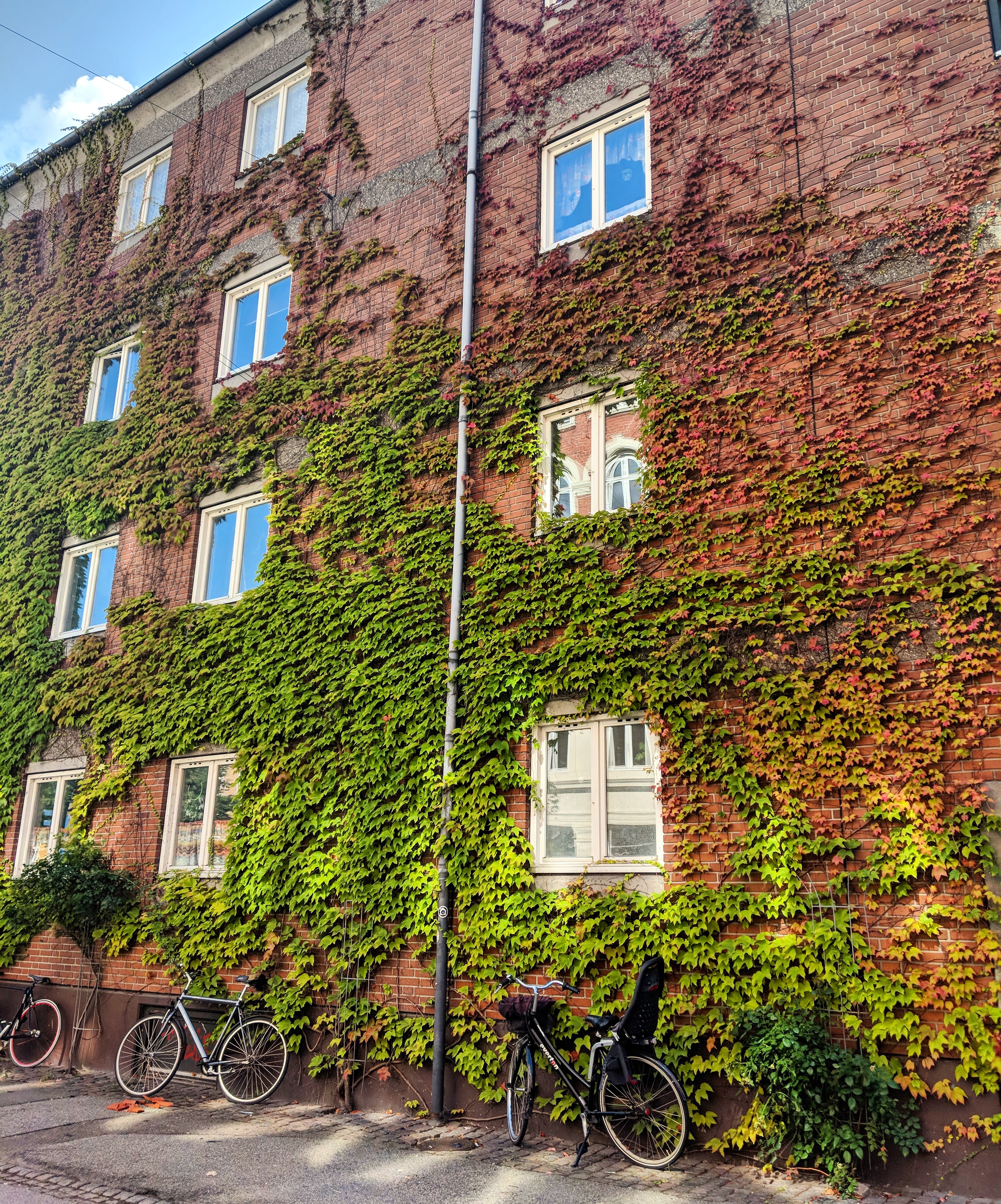 IMG_20180925_174200_865