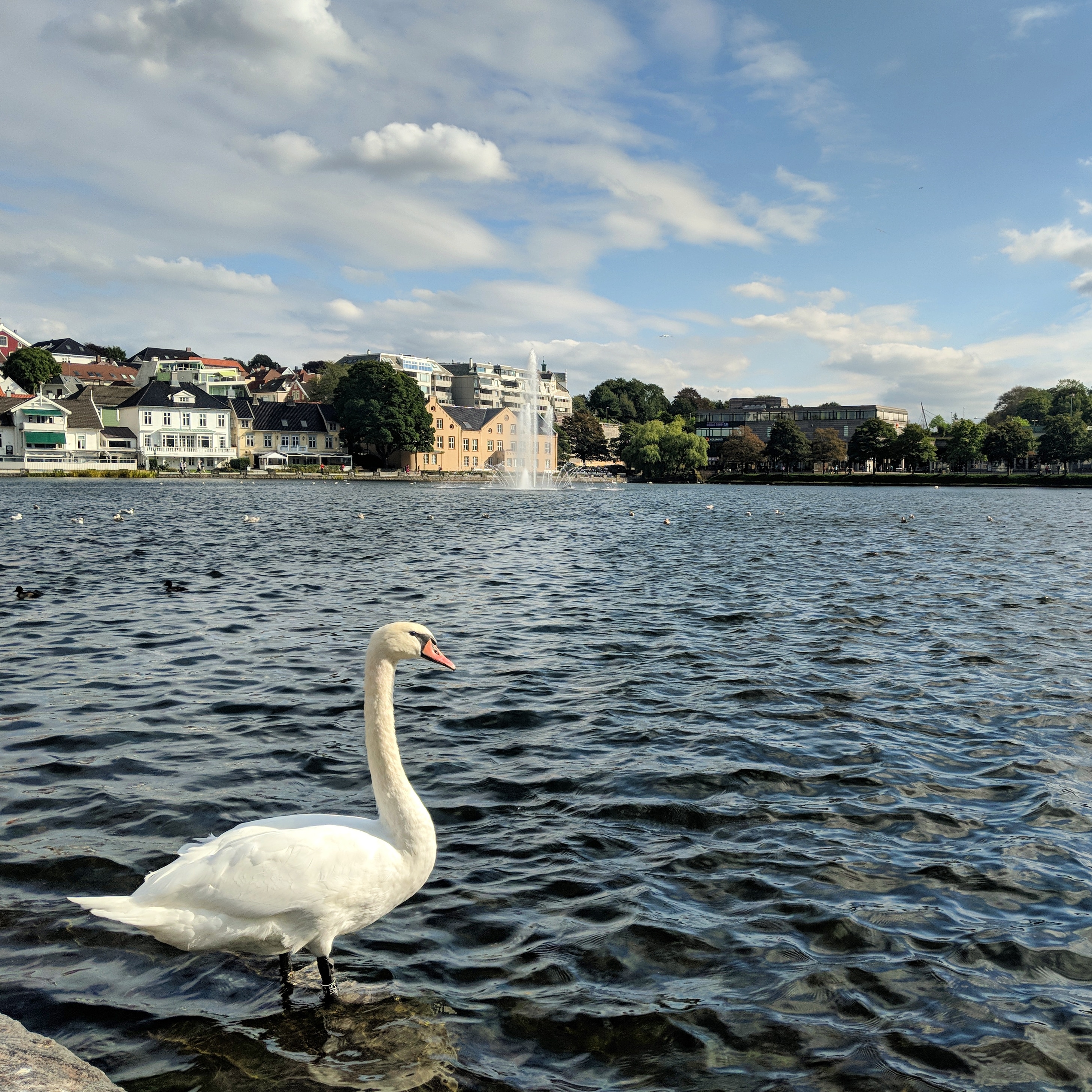 IMG_20180926_082440_075