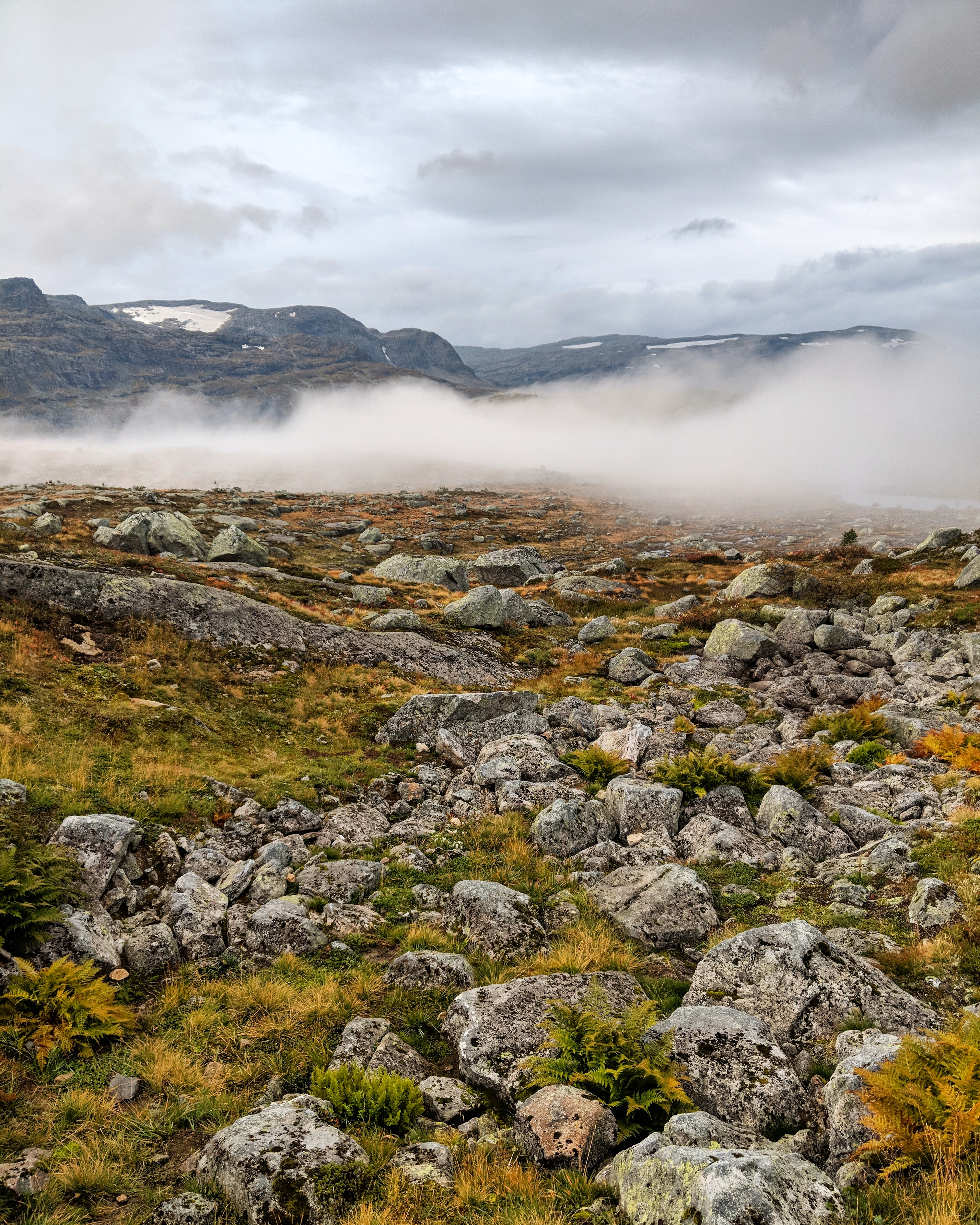 IMG_20180926_180711_854