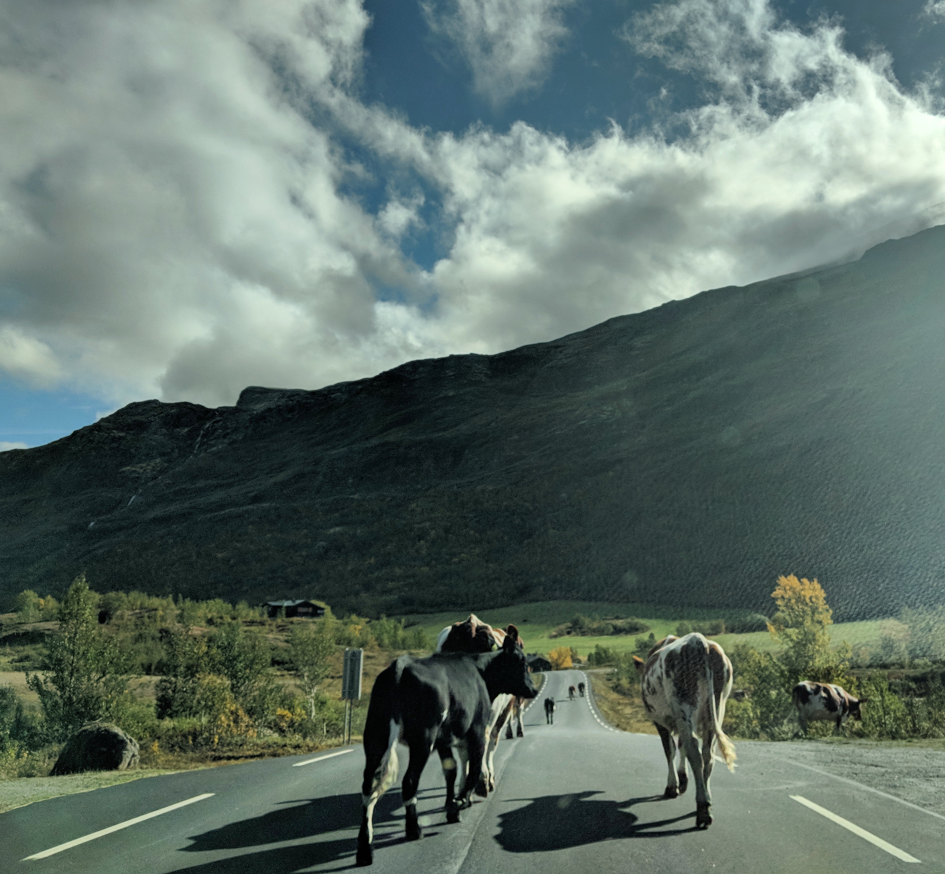 IMG_20180926_194035_961