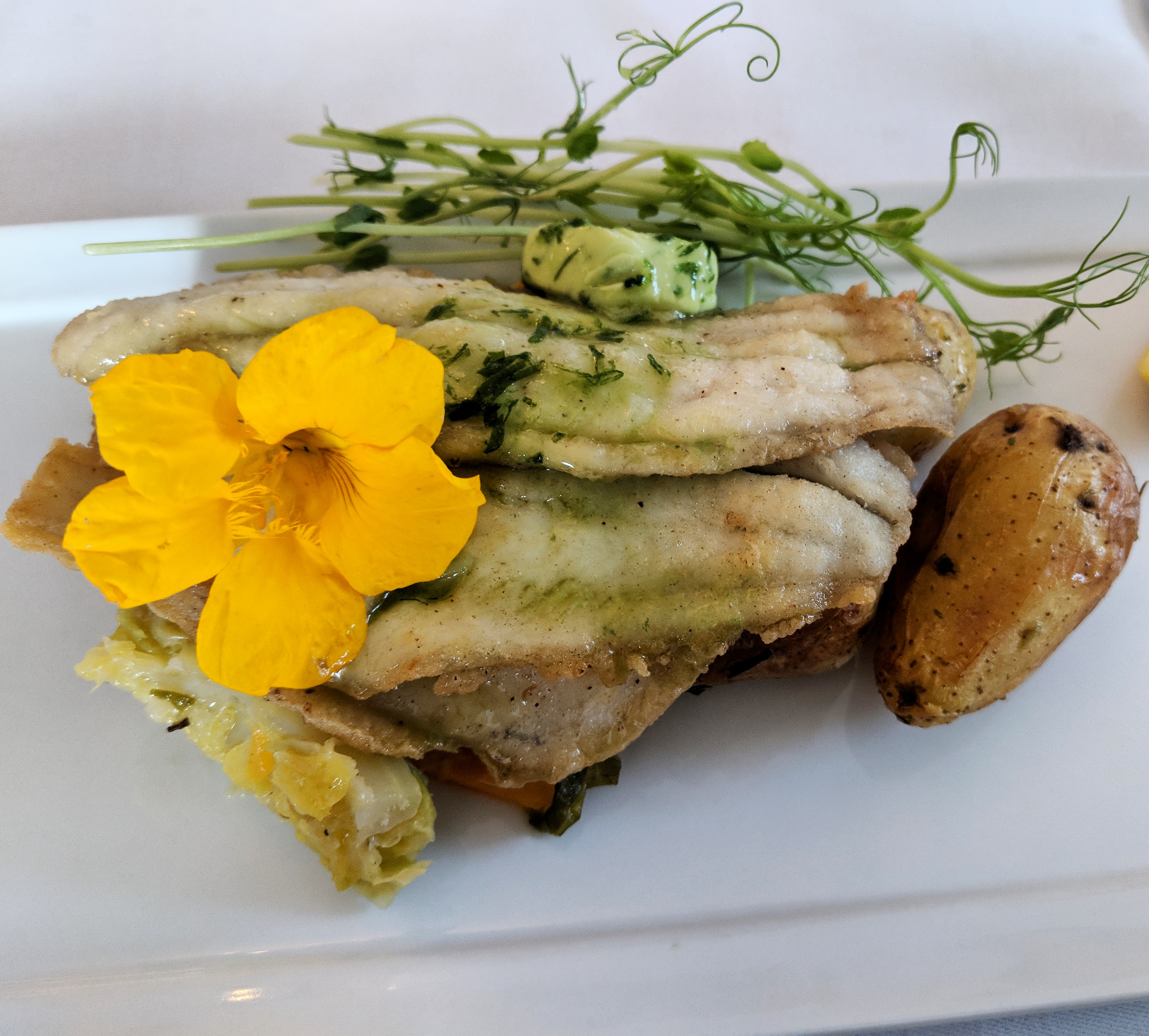 IMG_20180926_202610_196