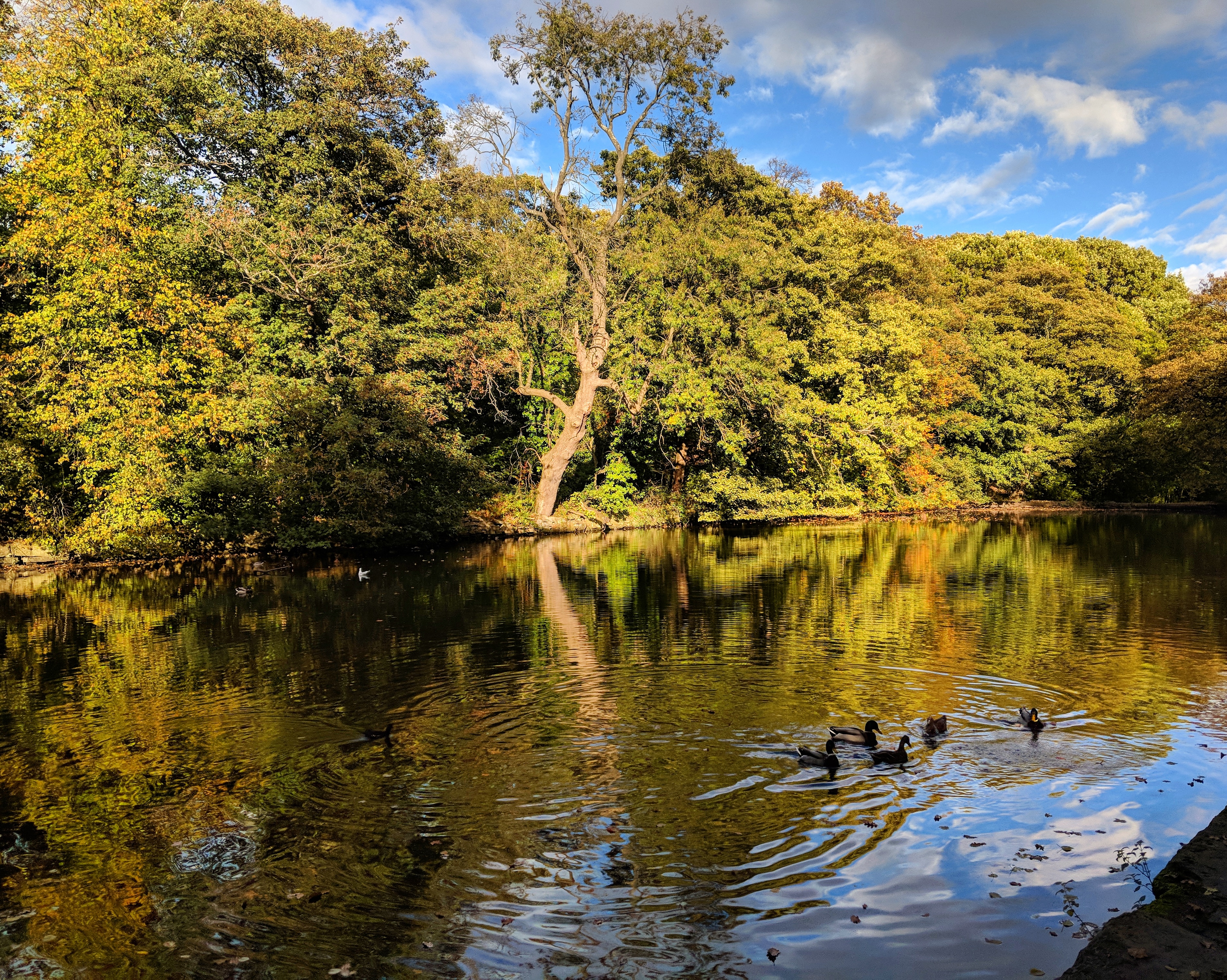 IMG_20181029_082101_800