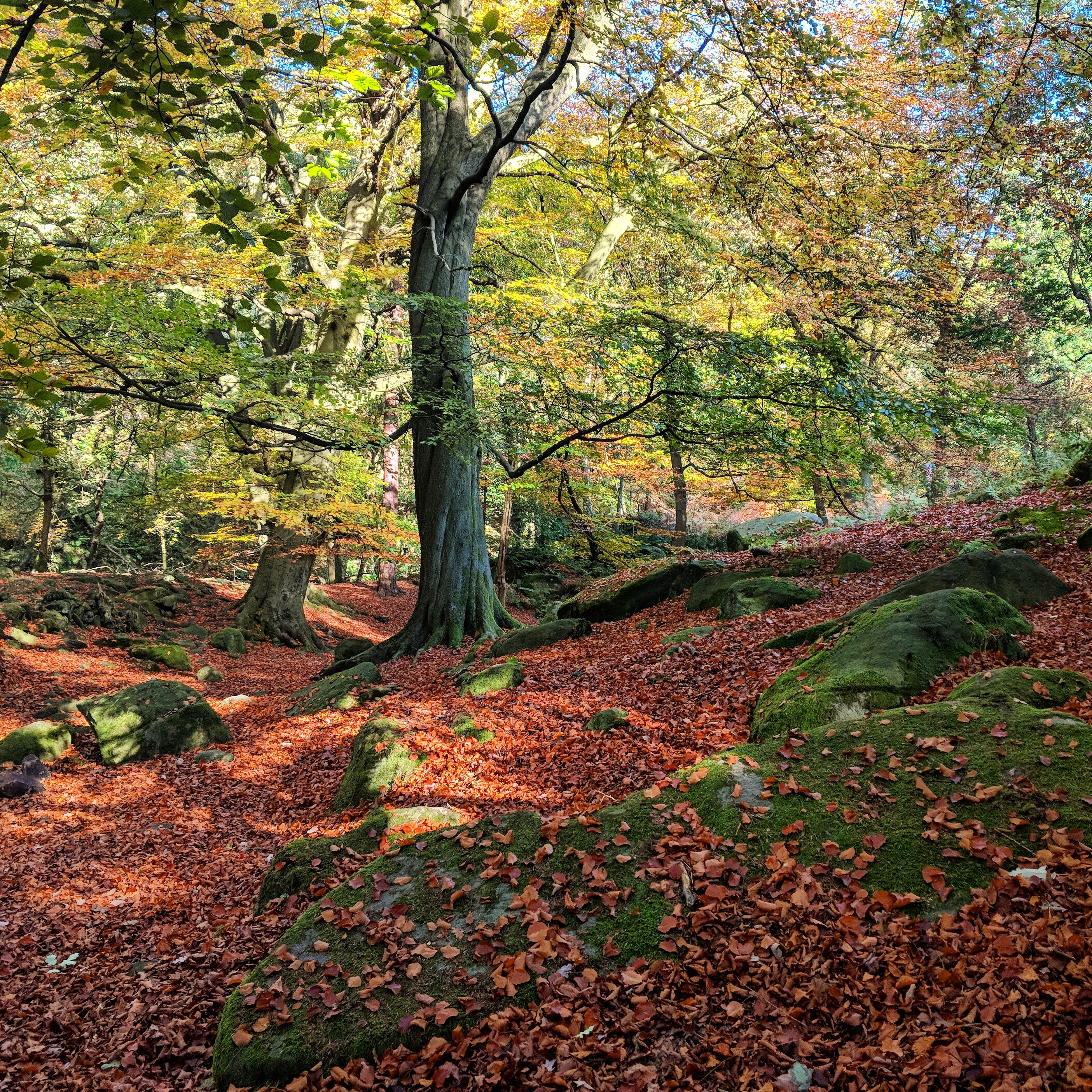 IMG_20181029_082624_942