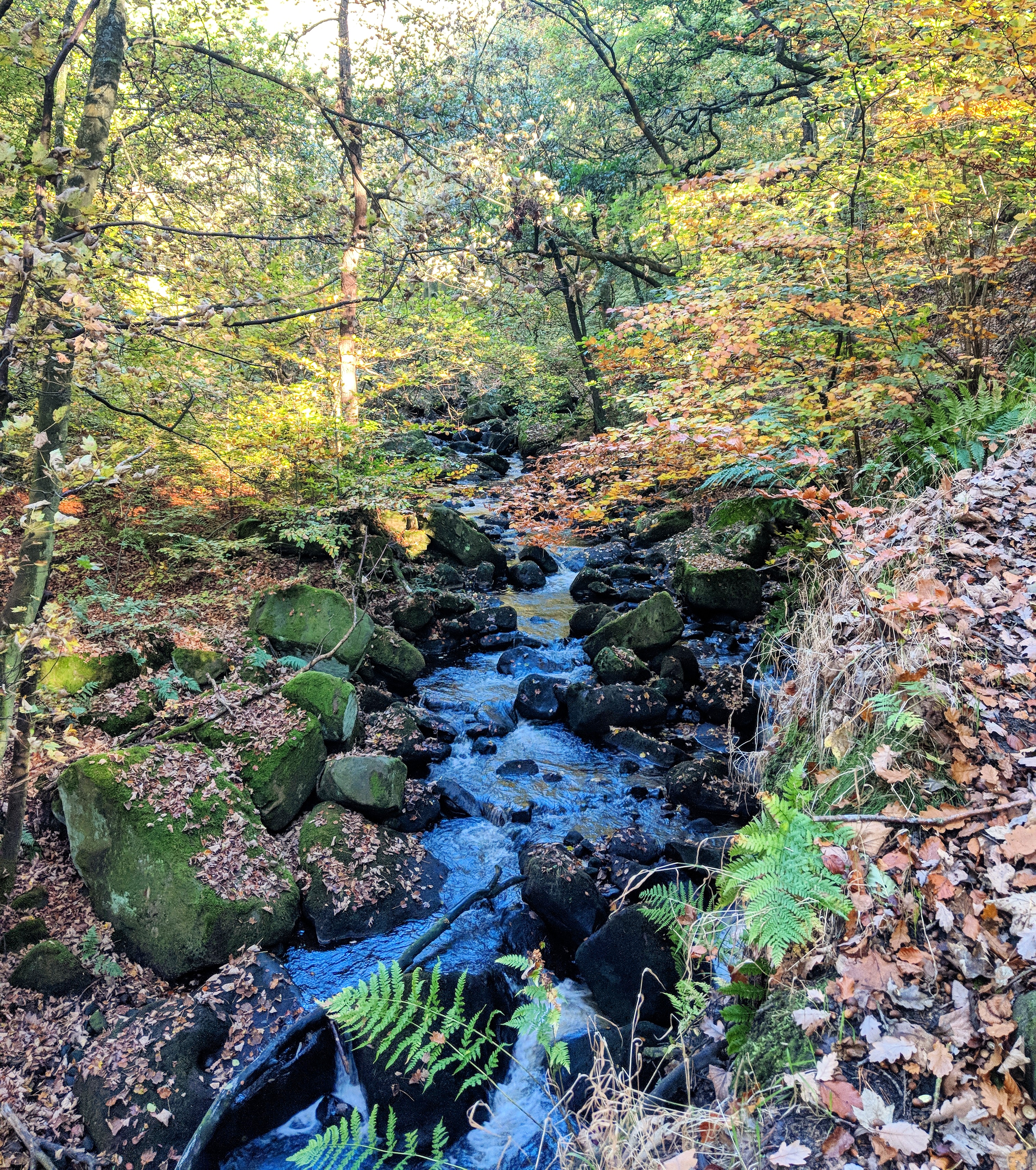 IMG_20181029_082647_573