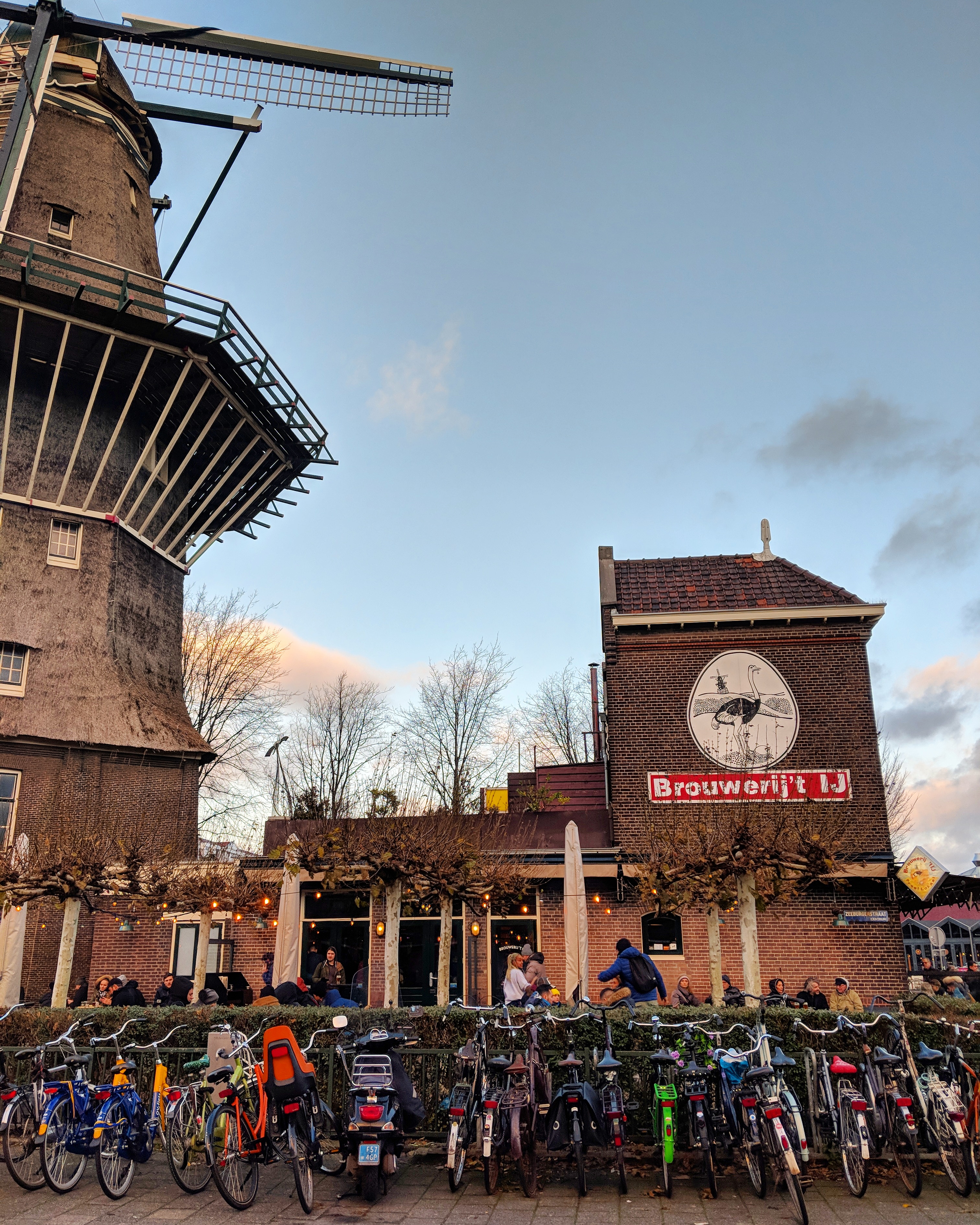 img_20190126_075958_248